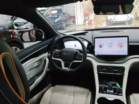 BYD Song PLUS New Energy 2023 (36600 км)