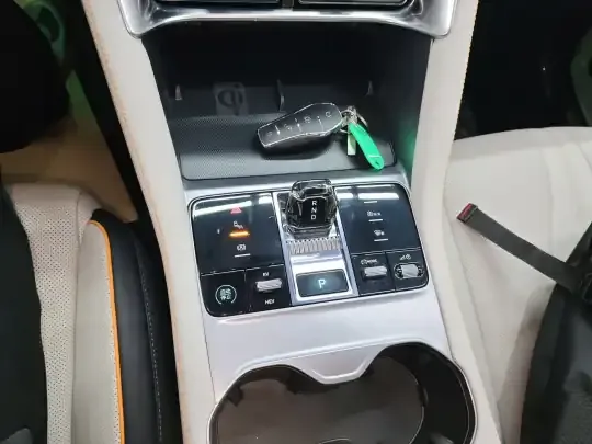 BYD Song PLUS New Energy 2023 (36600 км)