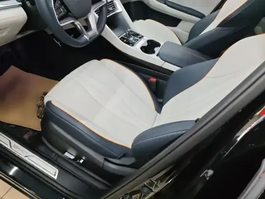 BYD Song PLUS New Energy 2023 (36600 км)