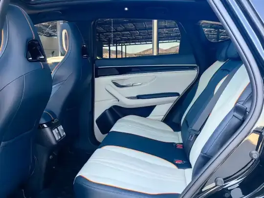 BYD Song PLUS New Energy 2023 (36600 км)