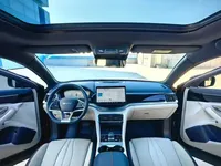 BYD Song PLUS New Energy 2023 (36600 км)