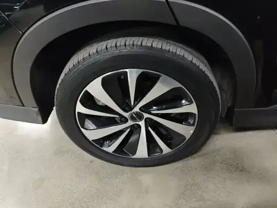 BYD Song PLUS New Energy 2023 (23100 км)