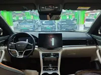 BYD Song PLUS New Energy 2023 (23100 км)