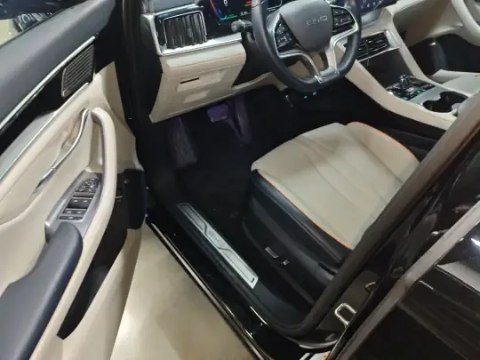 BYD Song PLUS New Energy 2023 (23100 км)