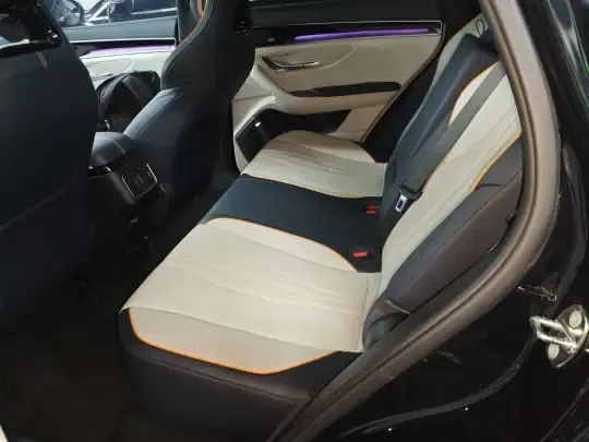 BYD Song PLUS New Energy 2023 (23100 км)