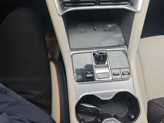 BYD Song PLUS New Energy 2023 (67000 км)
