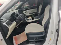 BYD Song PLUS New Energy 2023 (67000 км)