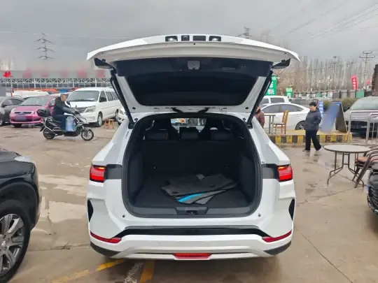 BYD Song PLUS New Energy 2023 (67000 км)