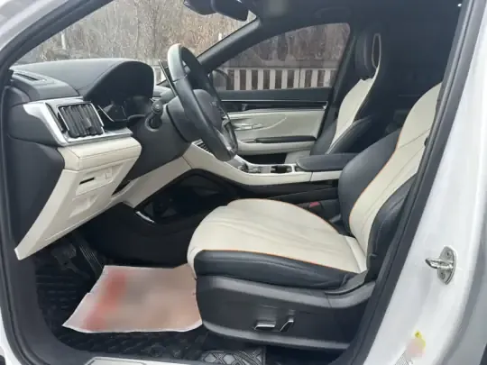 BYD Song PLUS New Energy 2023 (67000 км)