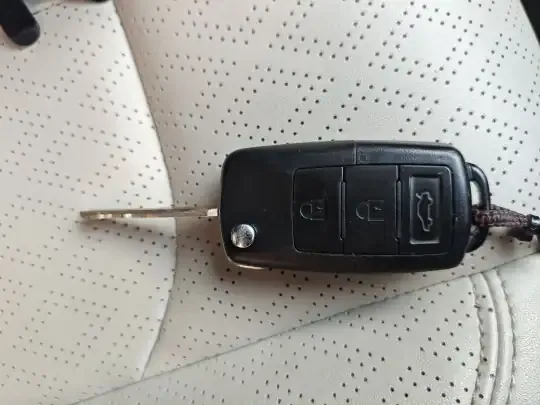 FORTHING Lingzhi PLUS 2023 (65200 км)