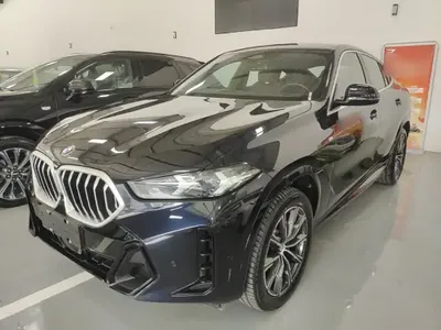 BMW X6 2023 (100 км)