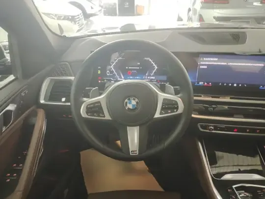 BMW X6 2023 (100 км)
