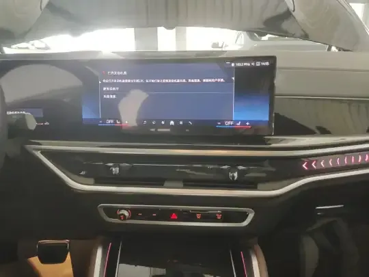BMW X6 2023 (100 км)