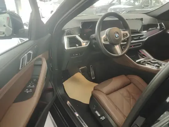 BMW X6 2023 (100 км)