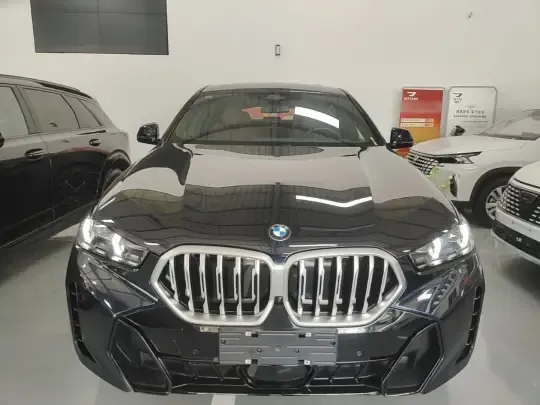 BMW X6 2023 (100 км)