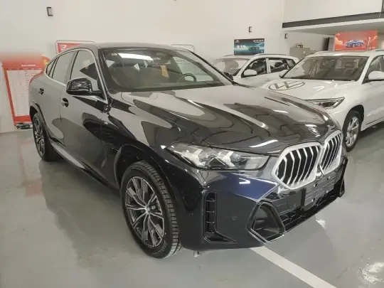 BMW X6 2023 (100 км)