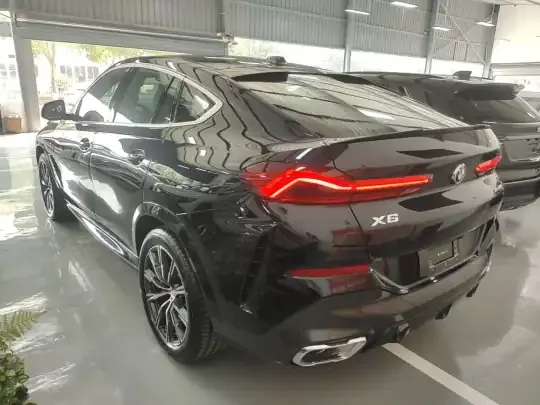 BMW X6 2023 (100 км)