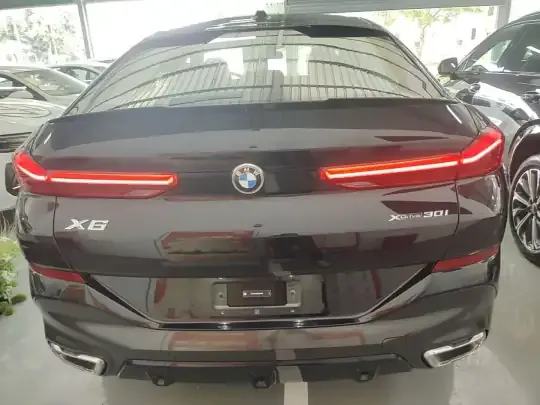 BMW X6 2023 (100 км)