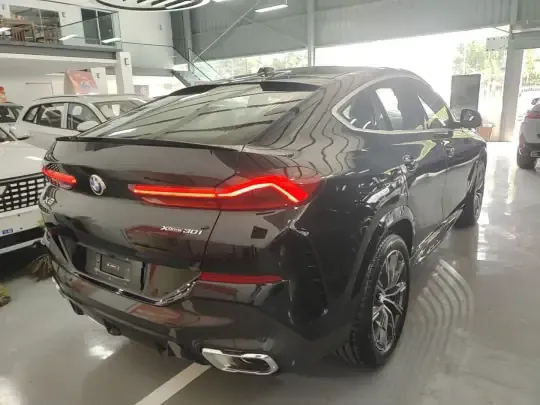 BMW X6 2023 (100 км)
