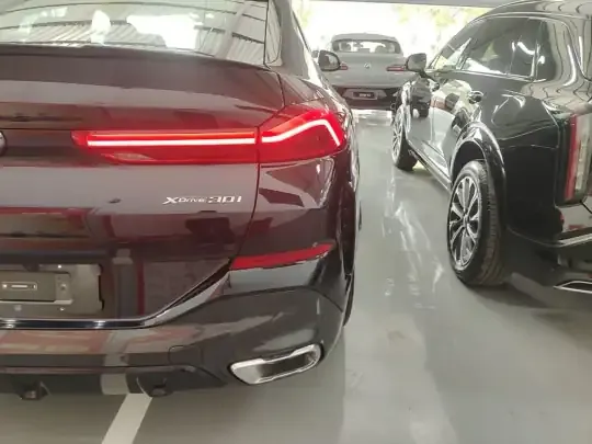 BMW X6 2023 (100 км)