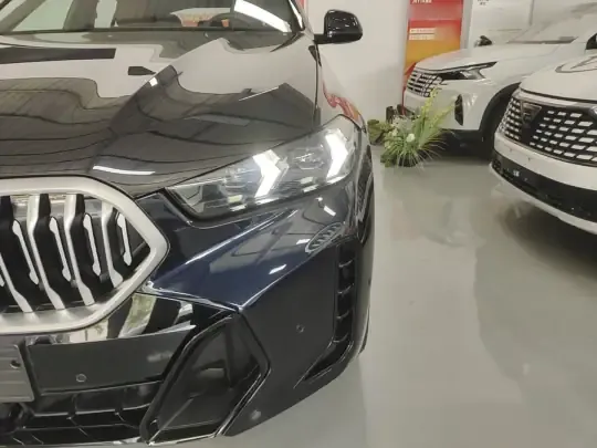 BMW X6 2023 (100 км)
