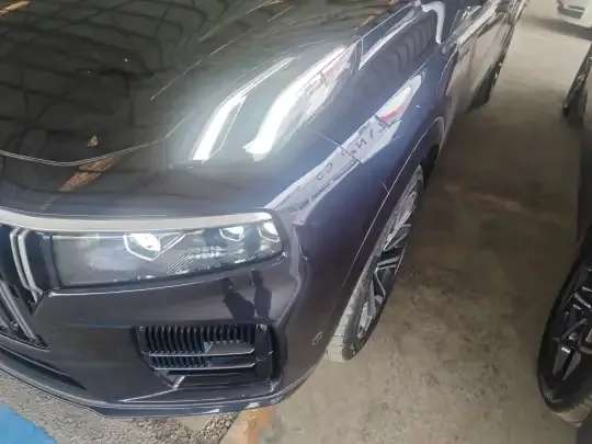Lynk & Co 09 EM-P 2023 (35300 км)