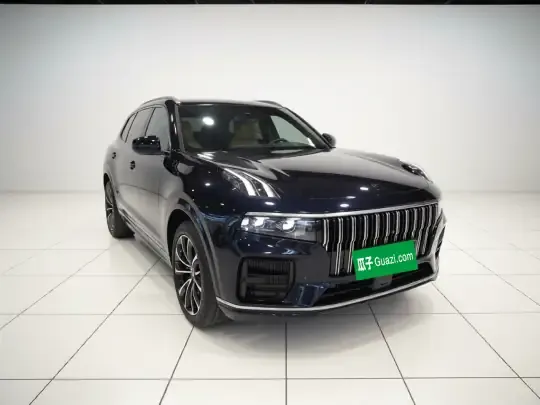 Lynk & Co 09 EM-P 2023 (35300 км)