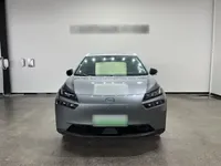 AION V 2024 (24100 км)