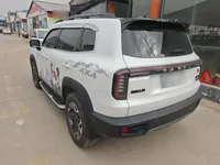 Haval DARGO 2024 (35200 км)