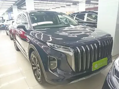 Hongqi HS7 2023 (3100 км)