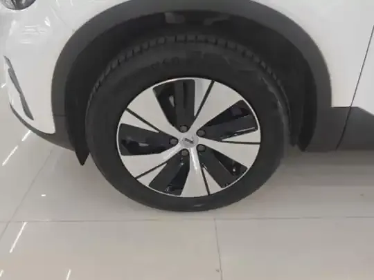 Volvo XC40 2024 (25300 км)