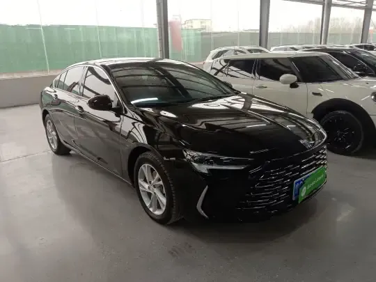 Buick Regal 2024 (28000 км)