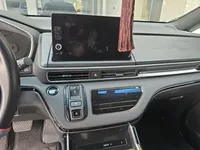 Honda Elysion 2024 (34100 км)