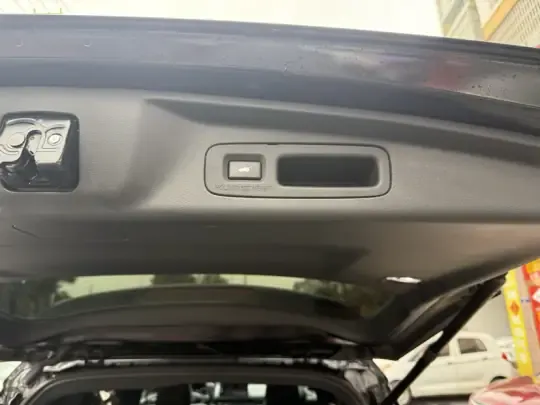 Honda Elysion 2024 (34100 км)