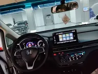 Honda Elysion 2024 (9100 км)