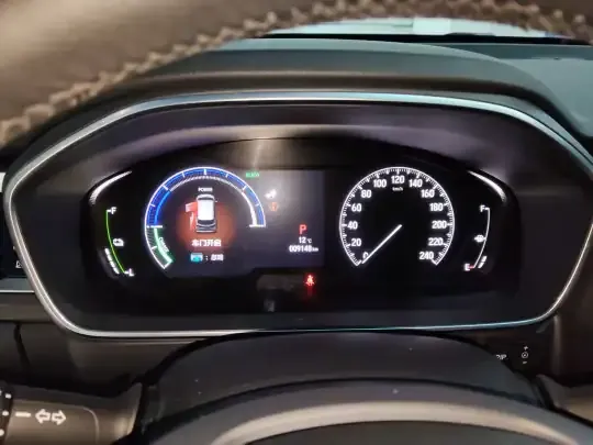 Honda Elysion 2024 (9100 км)