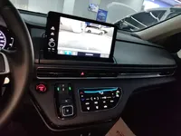 Honda Elysion 2024 (9100 км)