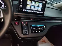 Honda Elysion 2024 (9100 км)