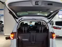 Honda Elysion 2024 (9100 км)