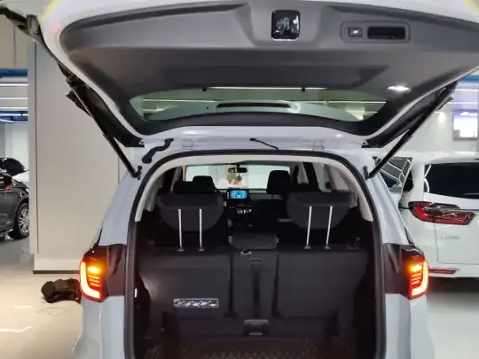 Honda Elysion 2024 (9100 км)