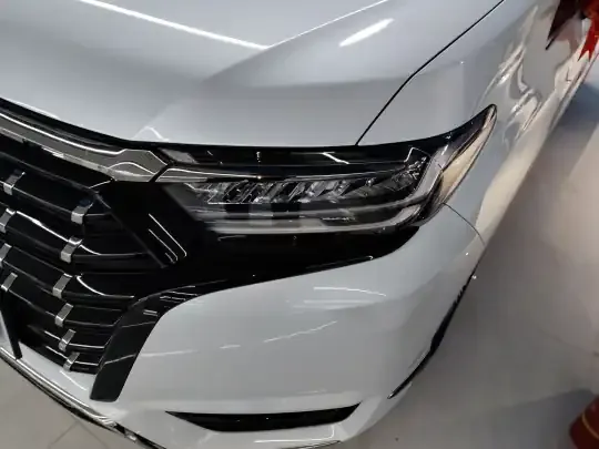 Honda Elysion 2024 (9100 км)