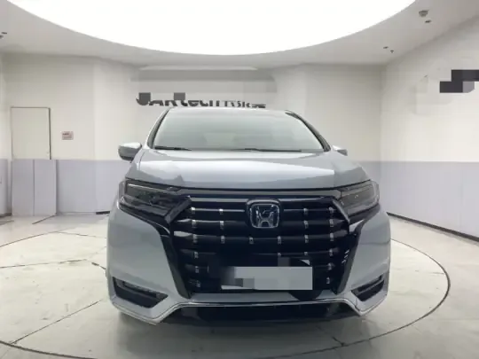 Honda Elysion 2024 (9100 км)