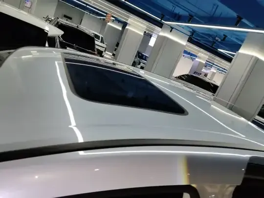 Honda Elysion 2024 (9100 км)
