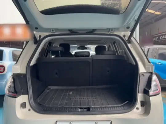 Baojun Cloud 2023 (51200 км)