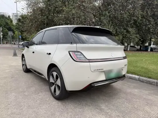 Baojun Cloud 2023 (51200 км)