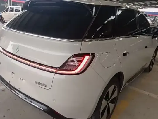 Baojun Cloud 2023 (6500 км)