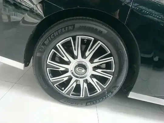 GAC Trumpchi E9 2023 (48700 км)