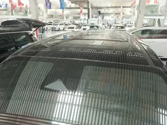 GAC Trumpchi E9 2023 (48700 км)