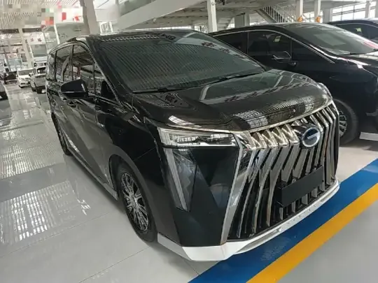 GAC Trumpchi E9 2023 (48700 км)
