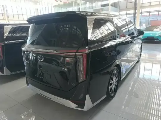GAC Trumpchi E9 2023 (48700 км)